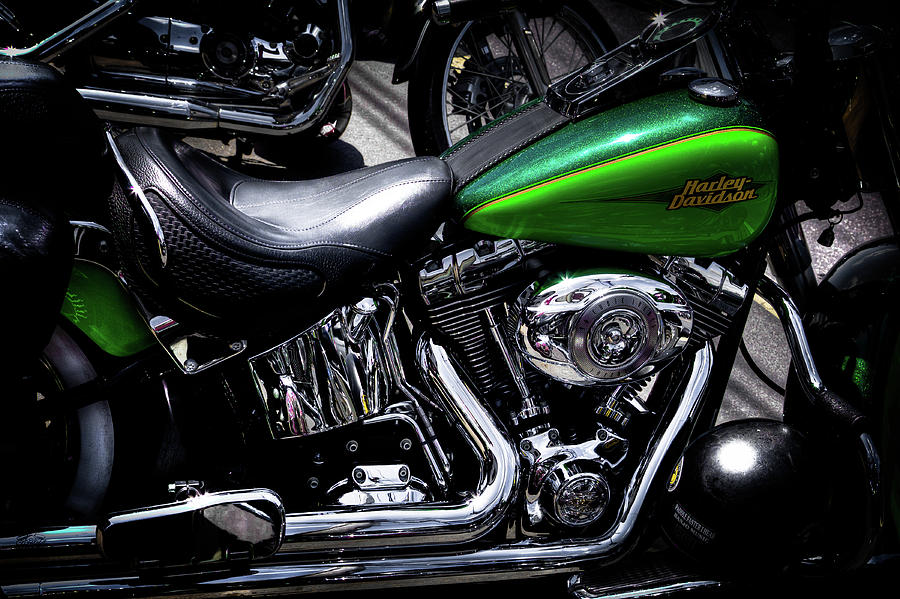 Parked Harleys Photograph by David Patterson