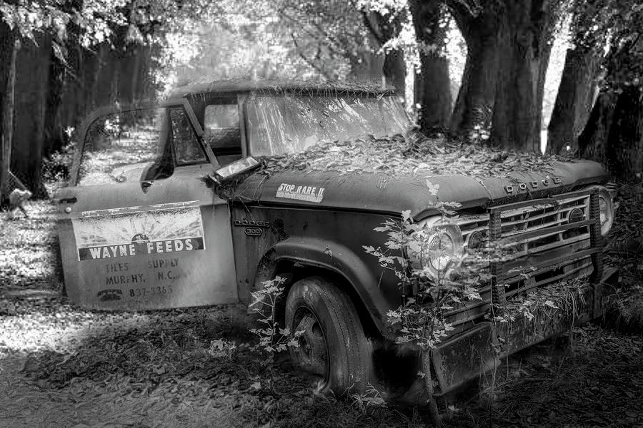 Parked on a Country Road in Black and White Photograph by Debra and Dave Vanderlaan