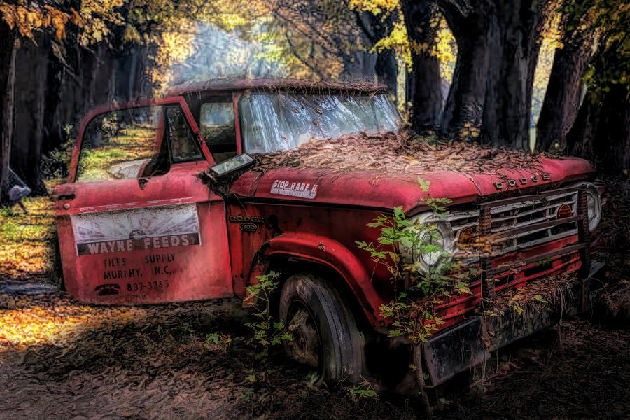 Parked on a Country Road Oil Painting Photograph by Debra and Dave Vanderlaan