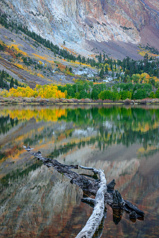 Fall Photograph - Parker Lake by Alexander Kunz