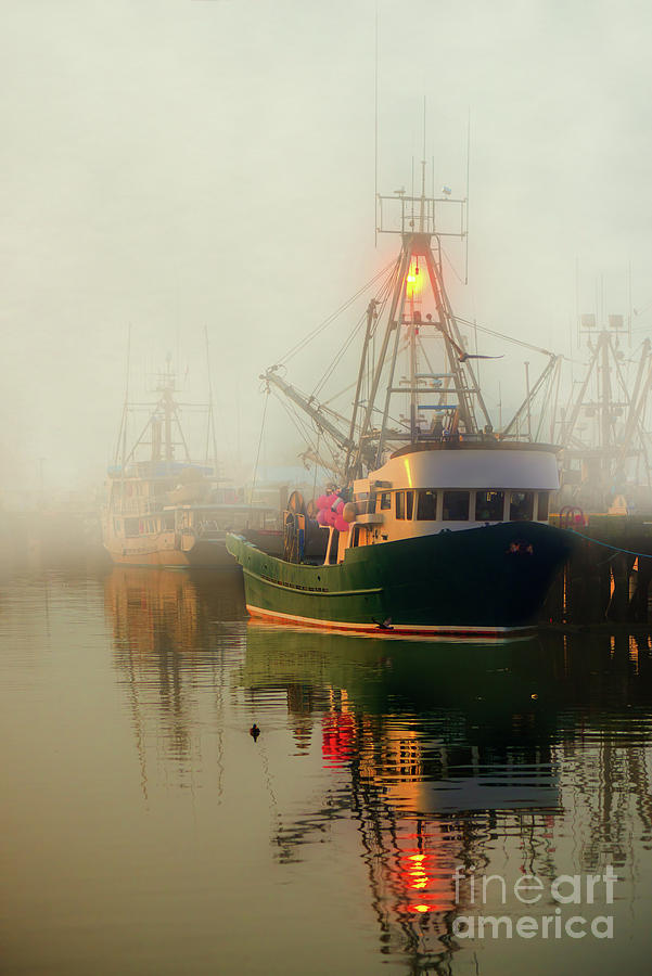 Richmond Photograph - Fishing boats on the dock in a foggy day by Viktor Birkus