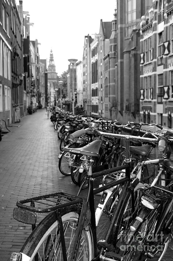 Bicycle Photograph - Parking Spot by Sophie Vigneault