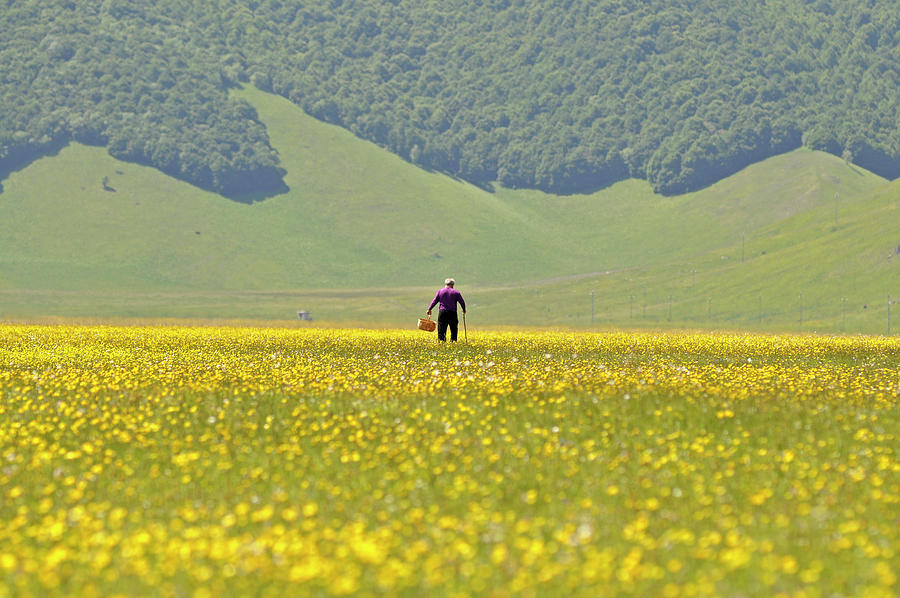 Monti Sibillini National Park, Italy 1 Photograph by Dubi Roman Monti Sibillini National Park, Italy 1 Photograph by Dubi Roman