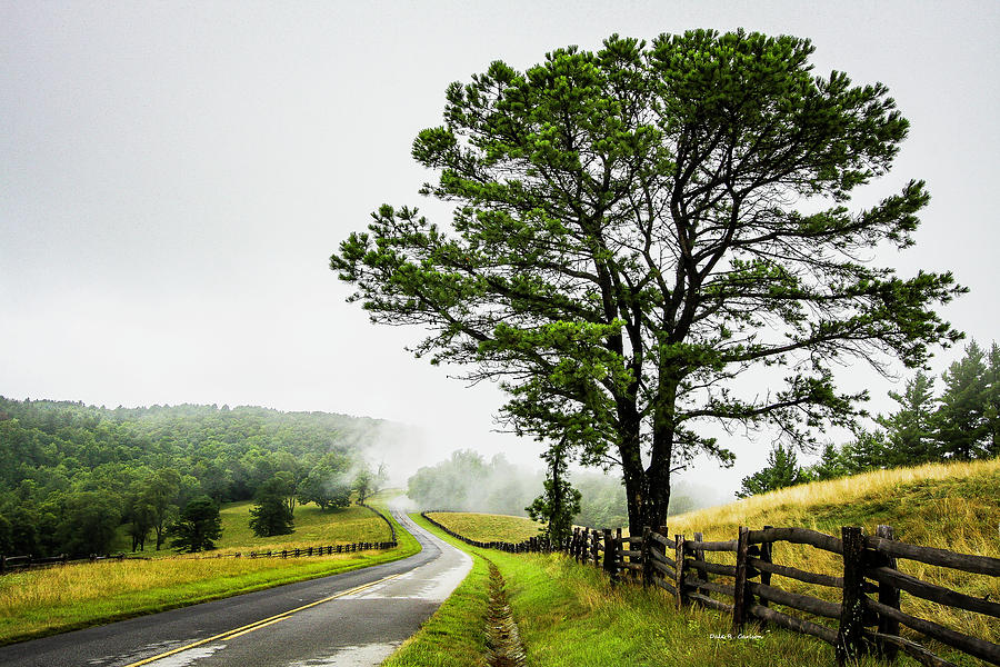 Blue Ridge Parkway Photograph - Parkway Mist by Dale R Carlson