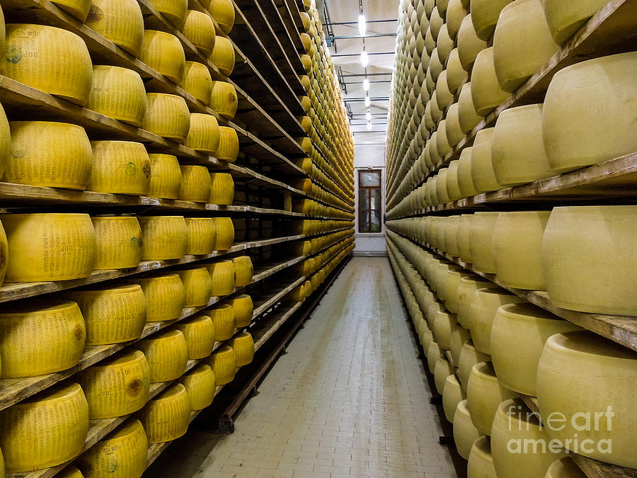 Parmesan Cheese Warehouse in Province of Parma Italy Photograph by