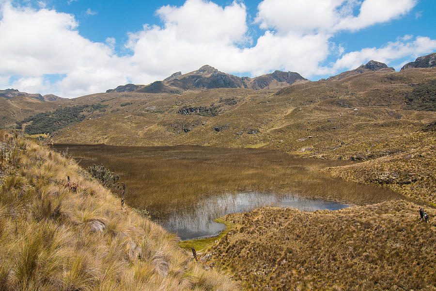 Parque Cajas Lakes and Mountains, Ecuador Photograph by Robert McKinstry