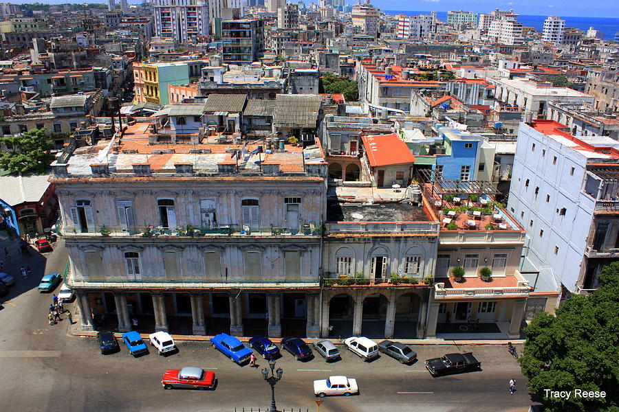 Parque central Skyline Photograph by Tracy Reese - Fine Art America