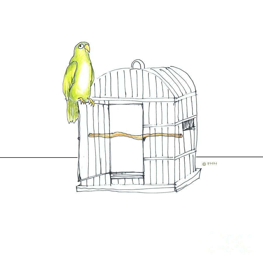 Parrot And Cage Drawing by Fran Henig