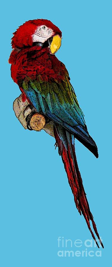 Parrot Art Digital Art by Francesca Mackenney