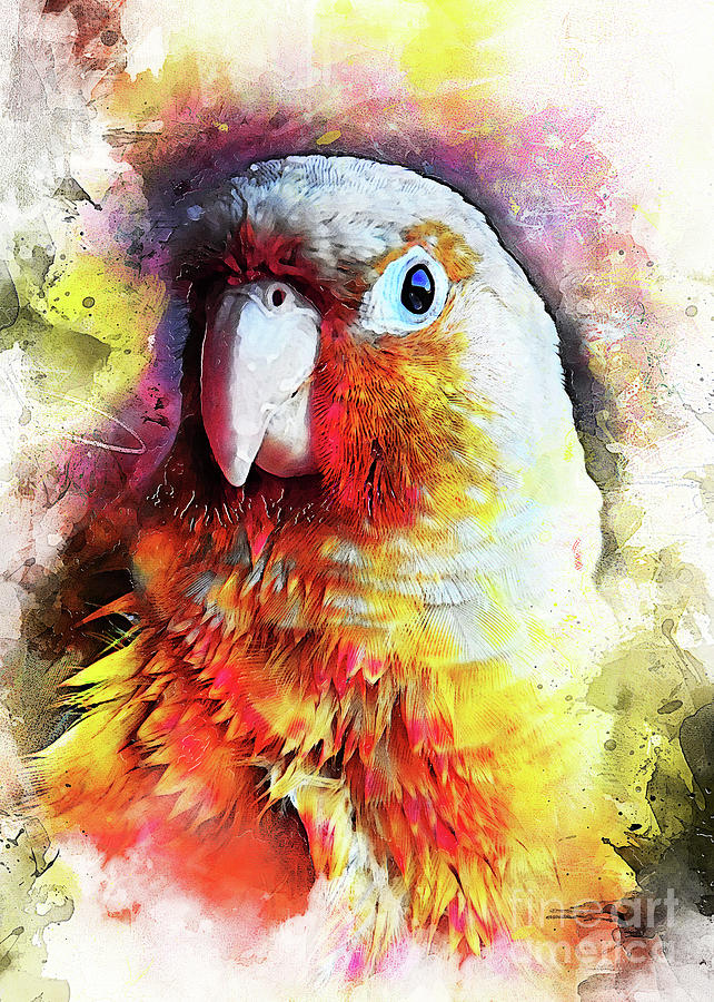 Parrot Art Digital Art