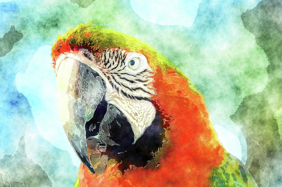 Parrot Art Mixed Media by Ken Figurski