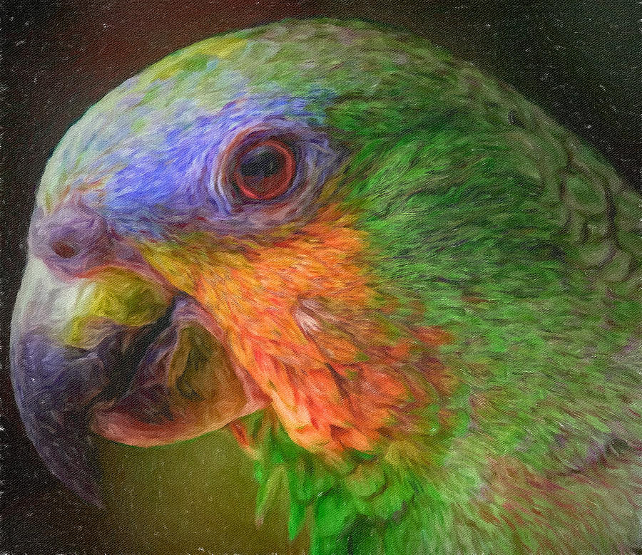 Parrot Art Digital Art by Yury Malkov