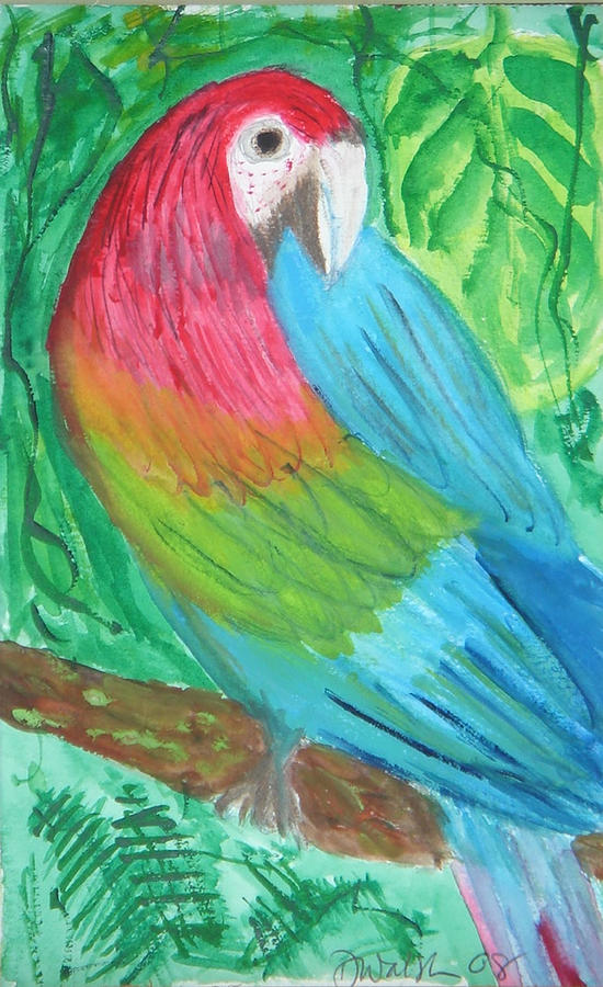 Parrot at Sundy House Painting by Donna Walsh