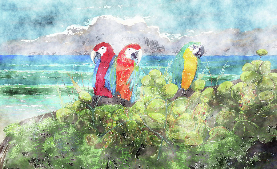 Parrot Beach 2 Watercolor Painting by Ken Figurski