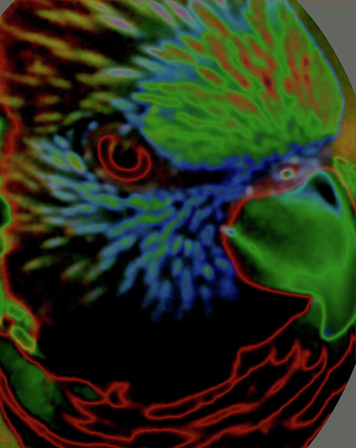 Parrot Bright Digital Art by Debra     Vatalaro