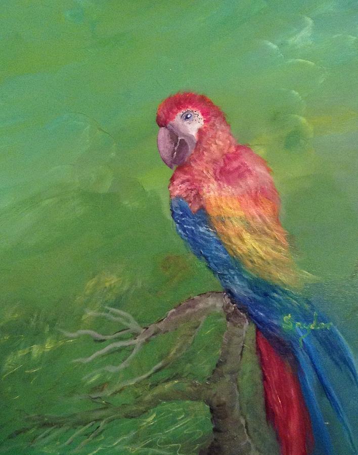 Parrot Charlie Painting by Beth Boone Snyder - Fine Art America