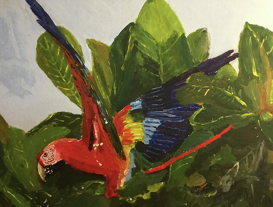 Parrot Painting - Parrot by Dennis Wilson