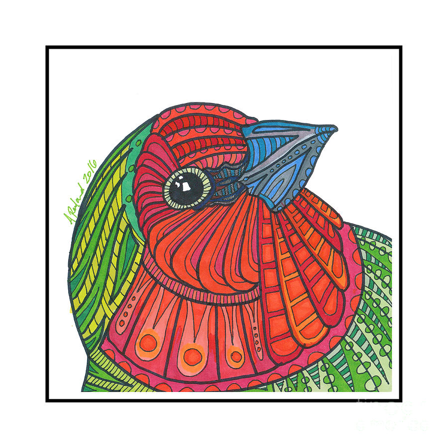 Parrot Finch #12 Drawing by Allie Rowland