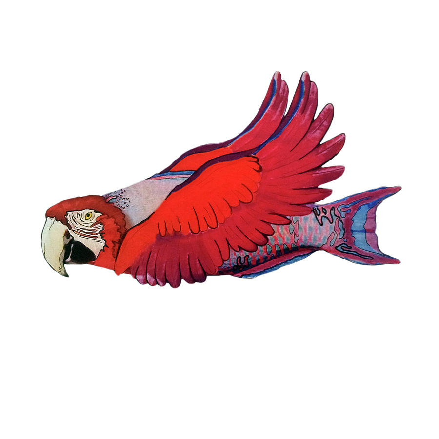 Fish Drawing - Parrot-Fish by Mone Ehlers