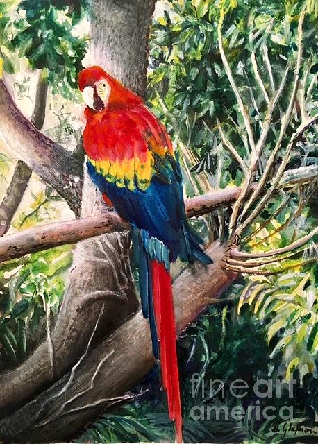 Parrot In Branches Painting by Doris Glapion - Fine Art America