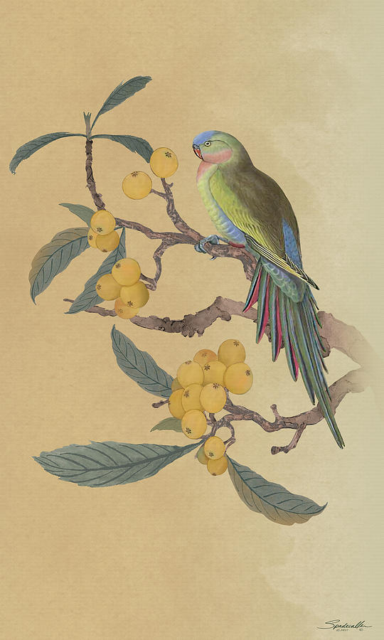 Parrot in Loquat Tree Digital Art by M Spadecaller