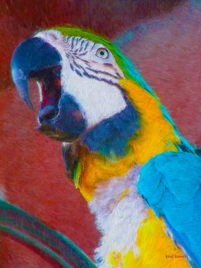 Parrot  Painting by Ken Krolikowski