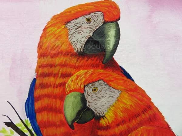 Parrot Love Painting