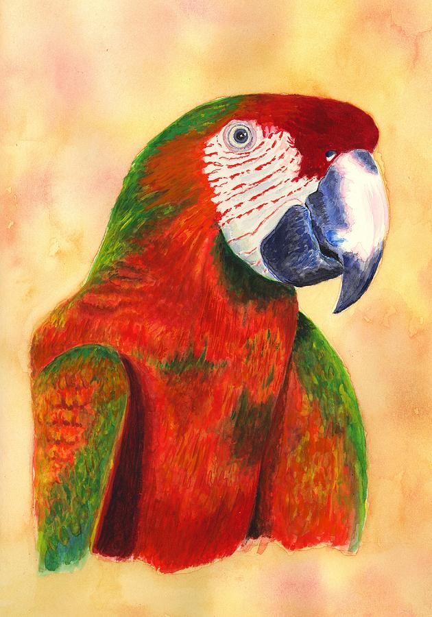 Parrot Painting - Parrot by Michael Vigliotti