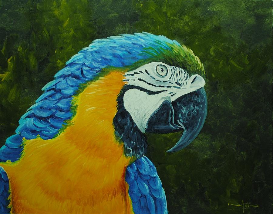 Parrot Painting by Nolan Clark - Pixels