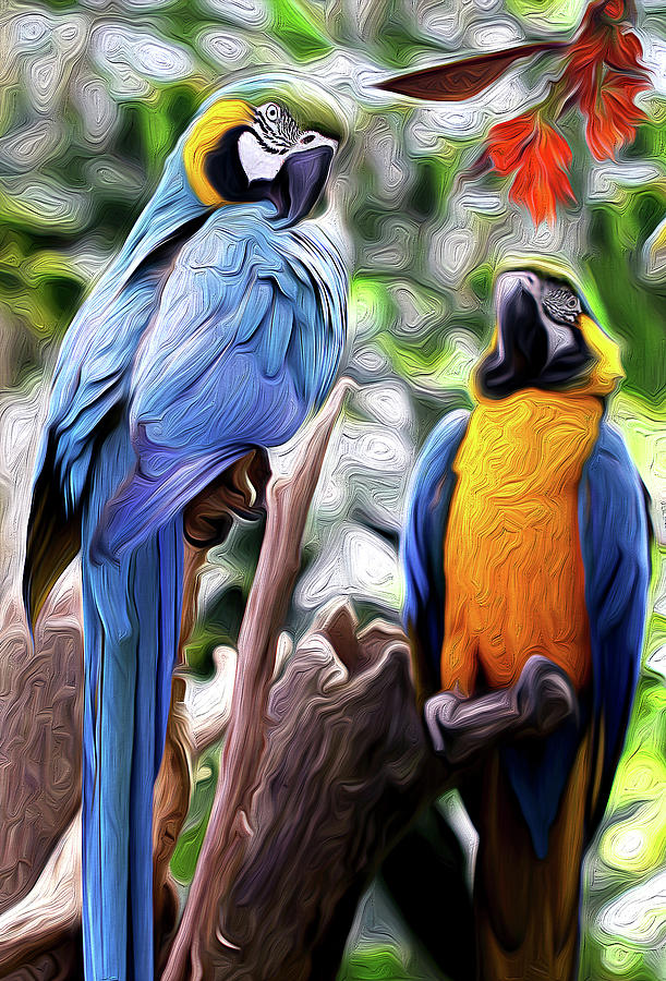 Parrot Pair Digital Art by Vanessa Thomas