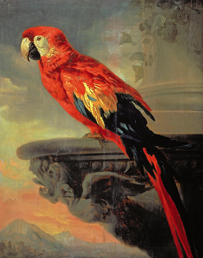 Peter Paul Rubens Painting - Parrot by Peter Paul Rubens