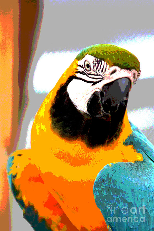 Parrot Posing Digital Art by Jack Ader