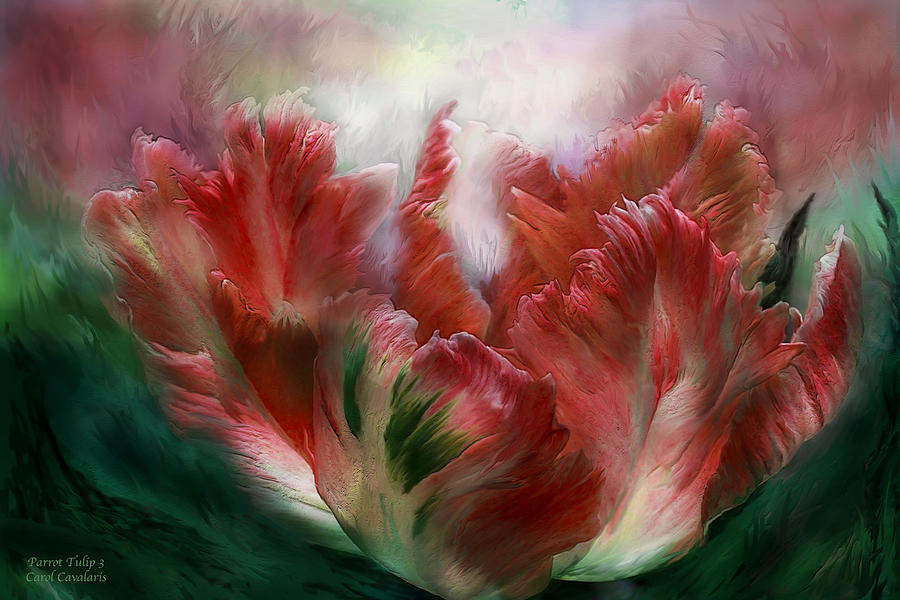 Parrot Tulip 3 Mixed Media by Carol Cavalaris