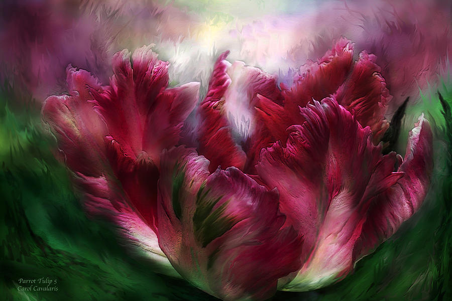 Parrot Tulip 5 Mixed Media by Carol Cavalaris