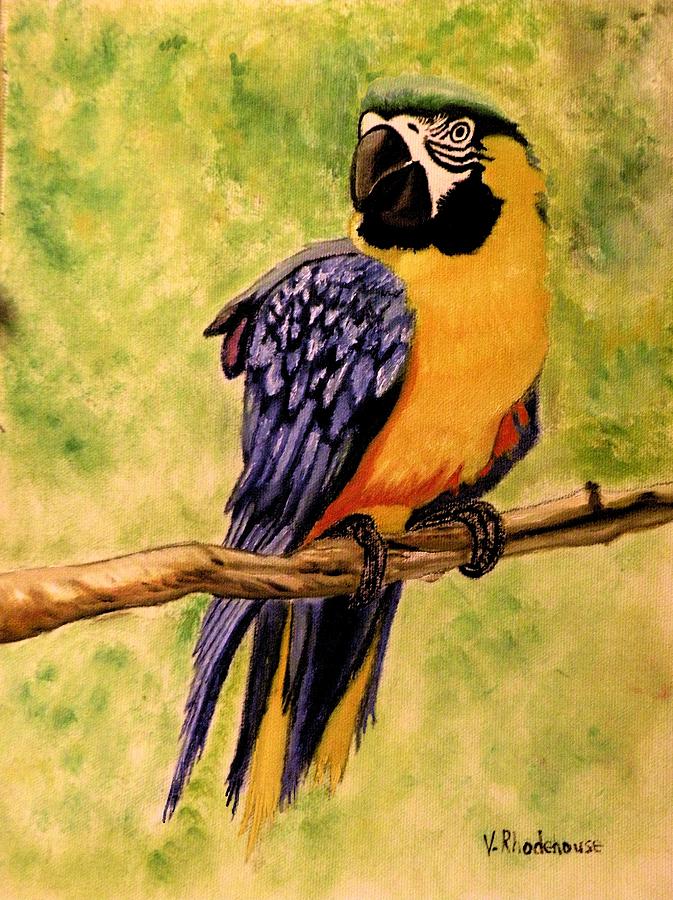 Perched Parrot Painting by Victoria Rhodehouse