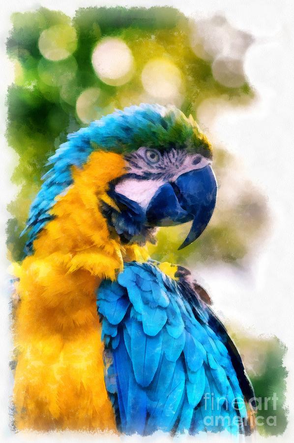 Parrot Watercolor Painting by Edward Fielding