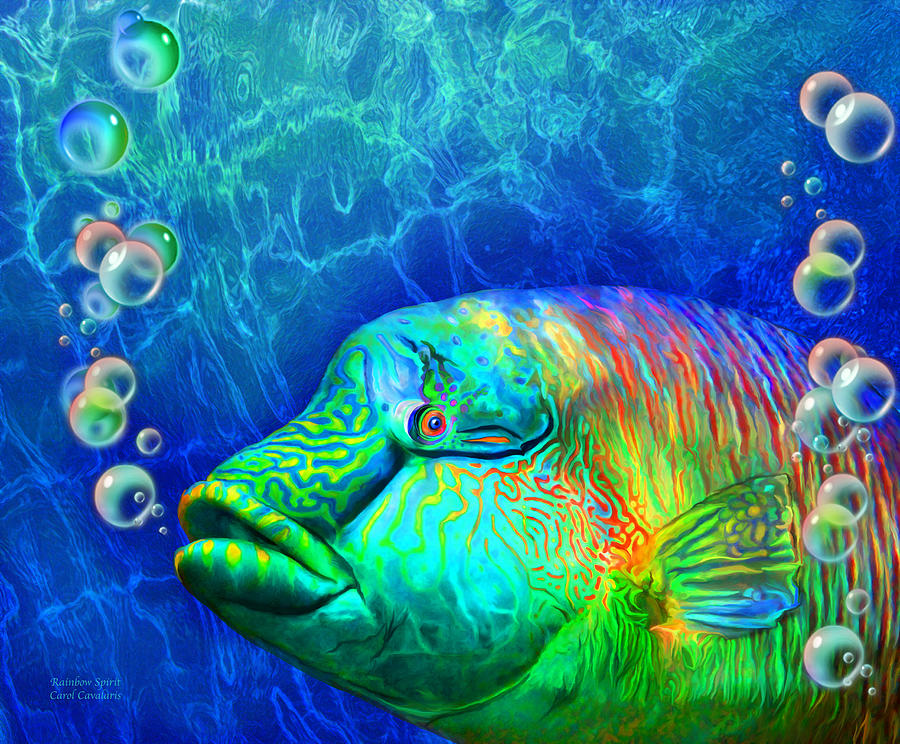 Parrotfish - Rainbow Spirit Mixed Media by Carol Cavalaris