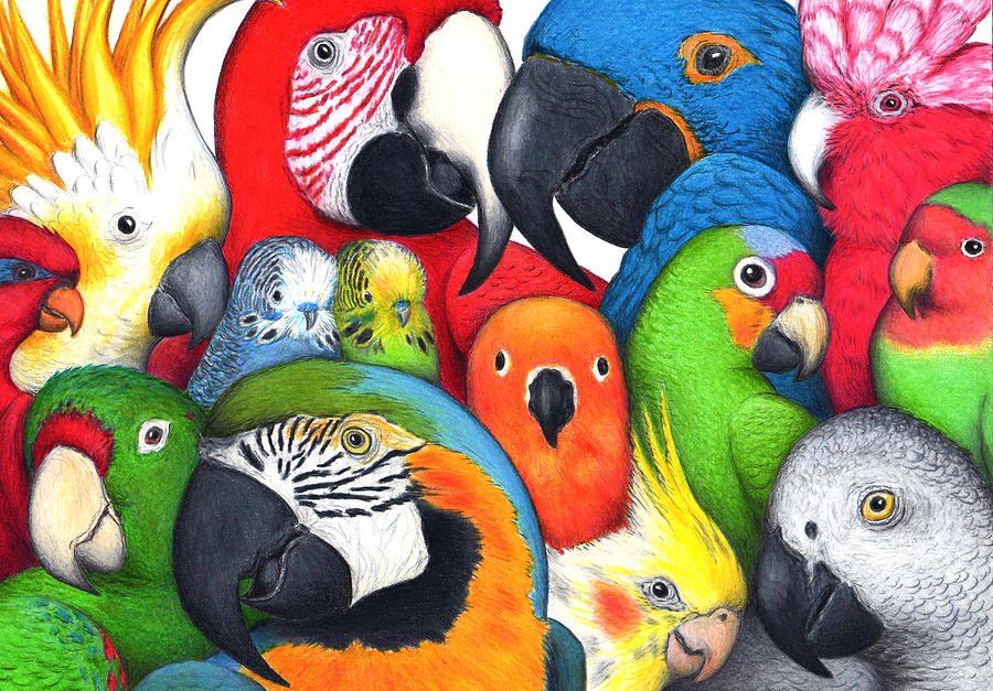 Bird Painting - Parrotheads by Don McMahon