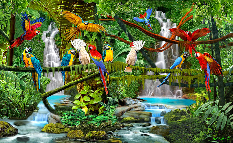 Parrots in Paradise Digital Art by Glenn Holbrook