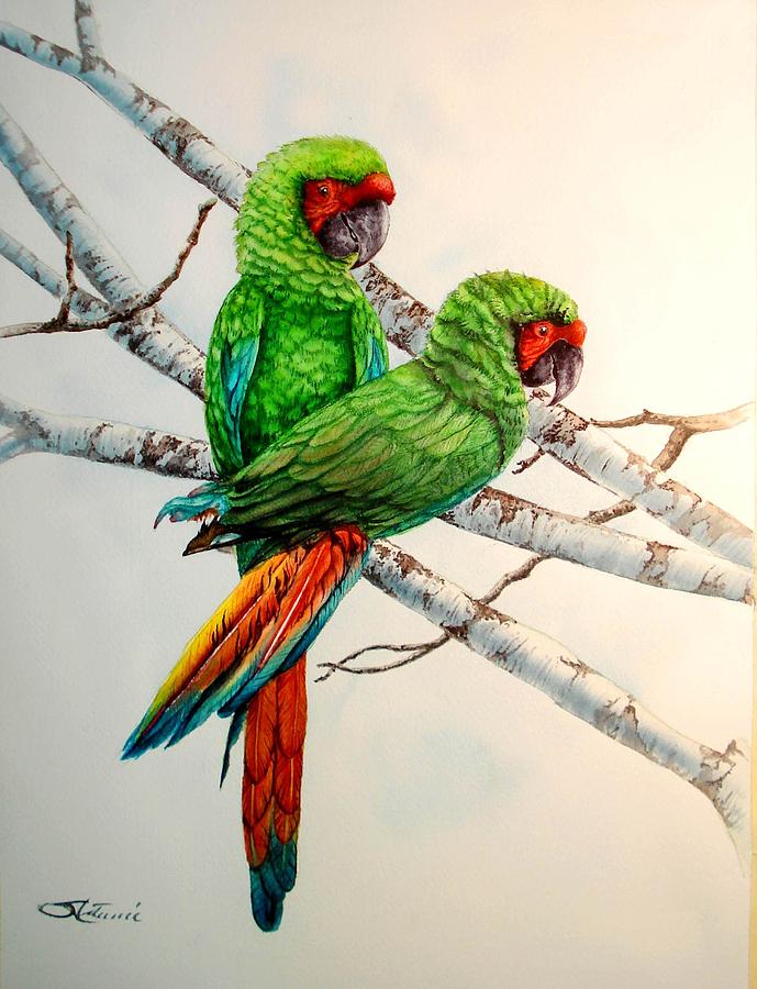 Parrots Painting by Sonya Catania