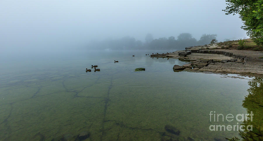 Parrotts Bay in Fog Photograph by Roger Monahan