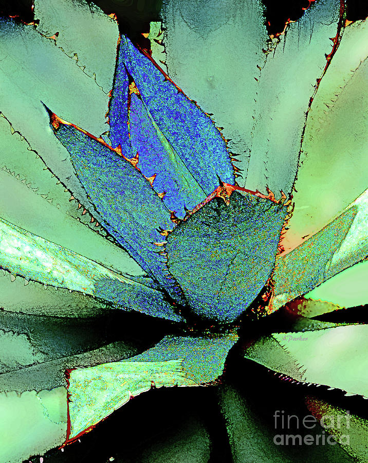 Parry Agave-2 Photograph by Linda Parker
