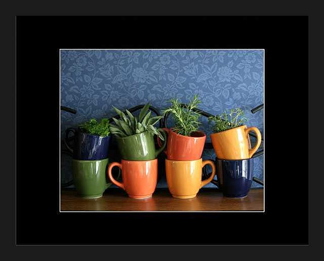 Stoneware Photograph - Parsley Sage Rosemary and Thyme by Brooke Chao Stoneware Photograph - Parsley Sage Rosemary and Thyme by Brooke Chao