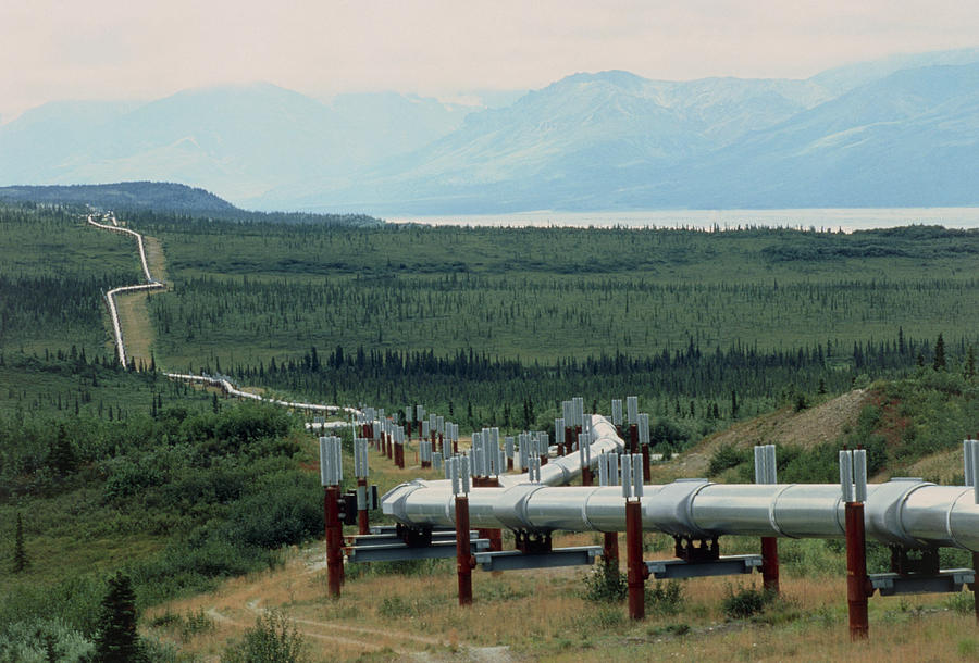 Oil Photograph - Part Of The Trans-alaskan Oil Pipeline by Pekka Parviainen