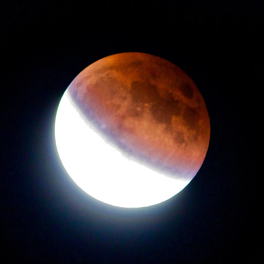 Partial Super Moon Lunar Eclipse Photograph by Todd Kreuter