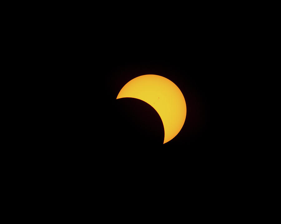 Partially Eclipsed Sun Photograph by M C Hood