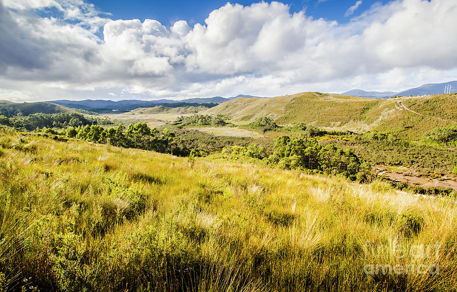 Parting Creek Regional Reserve Tasmania Photograph