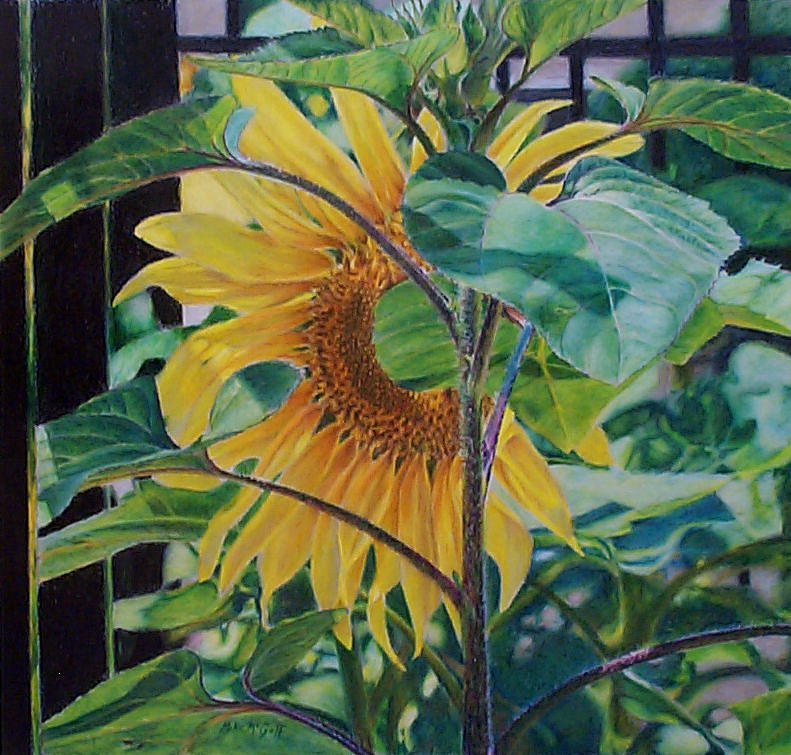 Partly Sunny Drawing by Mike McGoff - Fine Art America