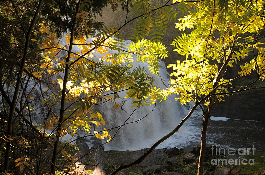 Partridge Falls II Photograph by Sandra Updyke