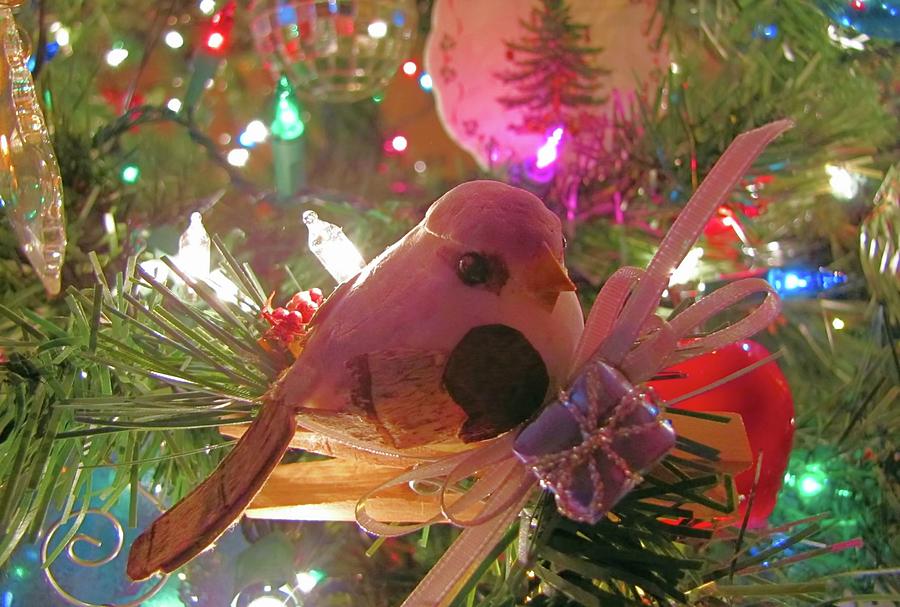 Partridge In A Christmas Tree  Photograph by Jennifer Wheatley Wolf
